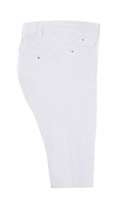 witte curve fit