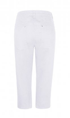 witte curve fit