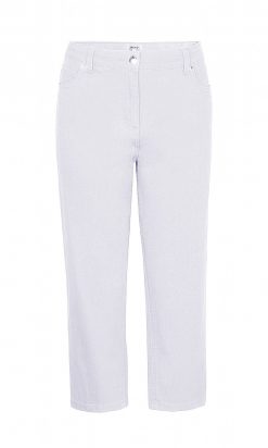 witte curve fit